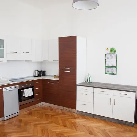 公寓 Spacious 2 Bedroom With Terrace 布拉格